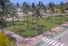 Ocean Drive Miami Webcam