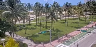 Ocean Drive Miami Webcam