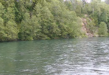 Cowlitz River Live Cam - Washington | Hd Video