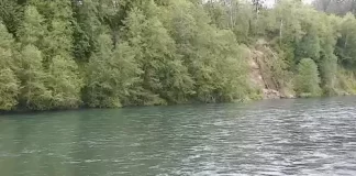 Cowlitz River Live Cam