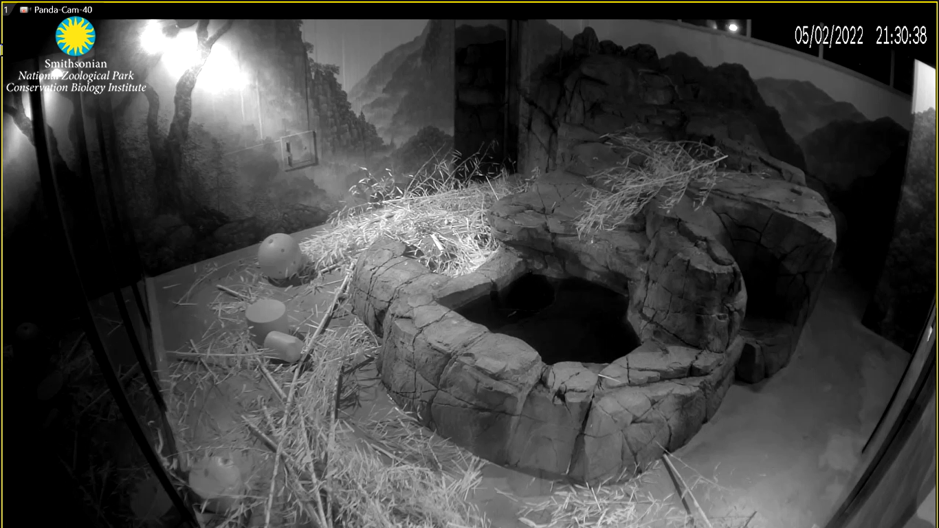 National Zoo Panda Cam, Smithsonian