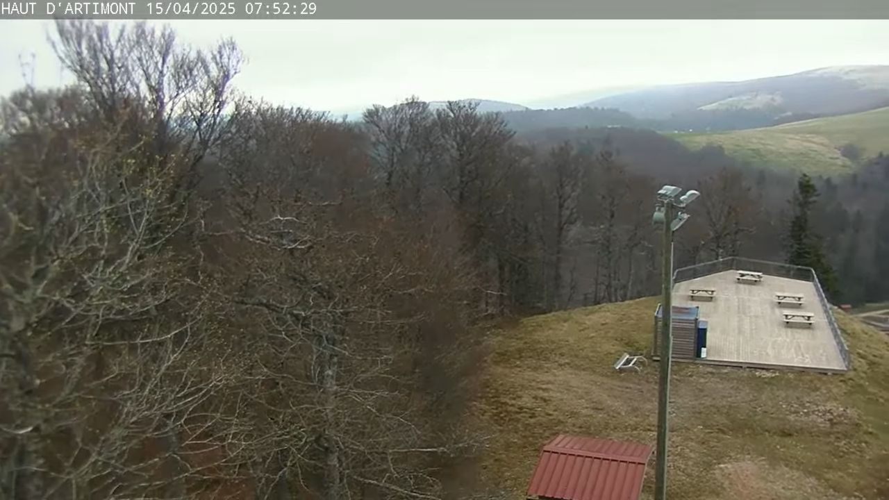Webcam La Bresse | Sommet Artimont | France