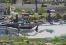 Bend Whitewater Park Webcam
