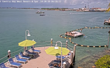 Hyatt Centric Key West Webcam