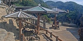 Live Webcam Awaji Island Monkey Center Sumoto, Hyogo, Japan