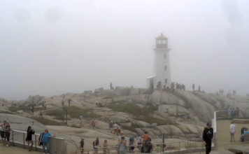 Peggys Cove Webcam | Lighthouse