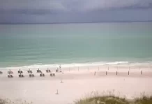 Beaches In Florida With Clear Water Live Webcams