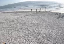 Ponce Inlet Beach Webcam | Florida