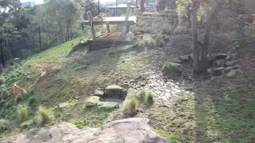 Taronga Zoo Sydney | Western Plains