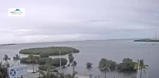 24 North Hotel Key West Webcam