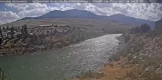 Yellowstone Webcam | National Park