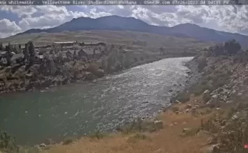 Yellowstone Webcam | National Park