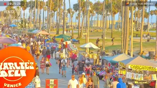 Webcam Cam – Best Free Live Cameras