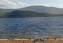 Cairngorm Webcam, Loch Morlich - Scotland