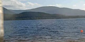 Cairngorm Webcam, Loch Morlich - Scotland