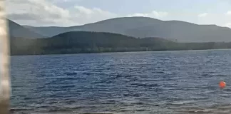 Cairngorm Webcam, Loch Morlich