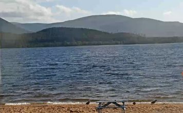 Cairngorm Webcam, Loch Morlich - Scotland