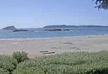 Vancouver Island Webcams