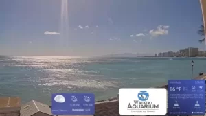 Waikiki Aquarium Webcam