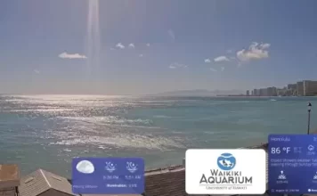 Waikiki Aquarium Webcam