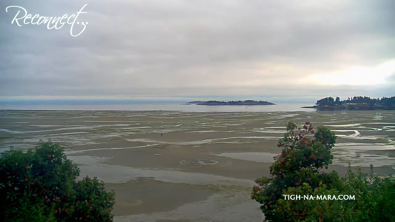 Live Webcam Tigh Na Mara Seaside Resort – Parksville, BC