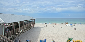 Pineapple Willy's Beach Cam
