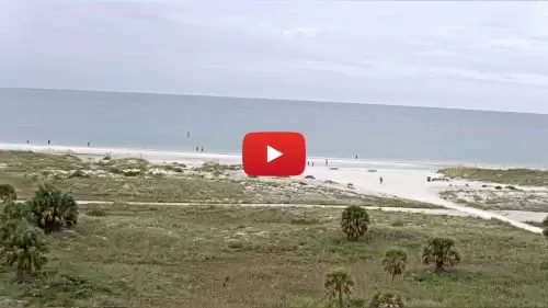 Jamaican On The Gulf Webcam | Treasure Island , Fl