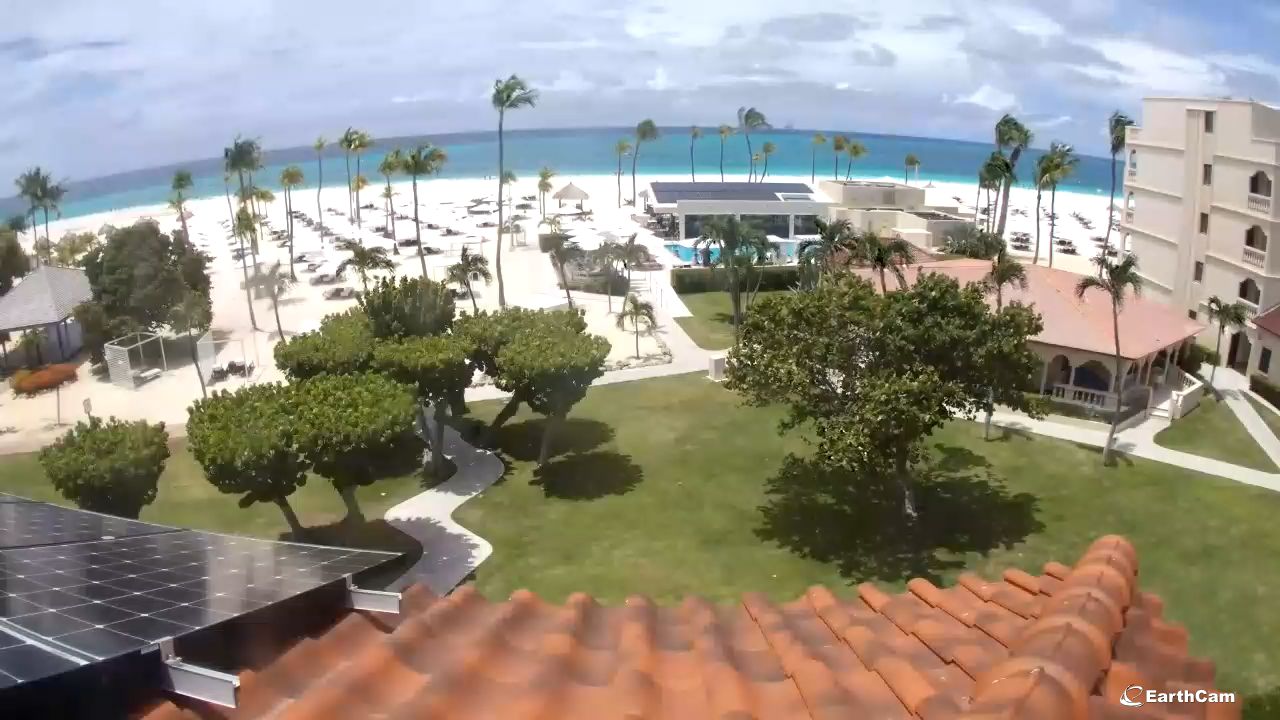 Live Cameras Aruba | Beaches and Resorts