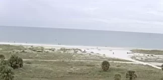 Jamaican On The Gulf Webcam | Treasure Island , Fl