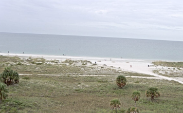 Jamaican On The Gulf Webcam | Treasure Island , Fl