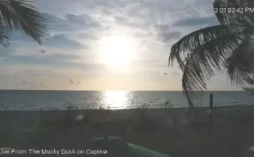 Mucky Duck Beach Cam | Captiva