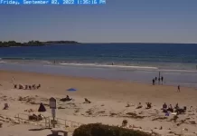 Higgins Beach Webcam