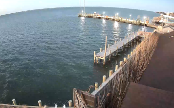 Cherry Grove Fire Island Webcam - Ny