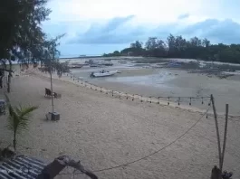 Live From Thailand Webcams