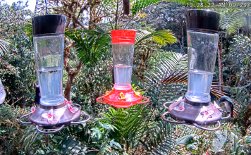 Ecuador Live Webcams