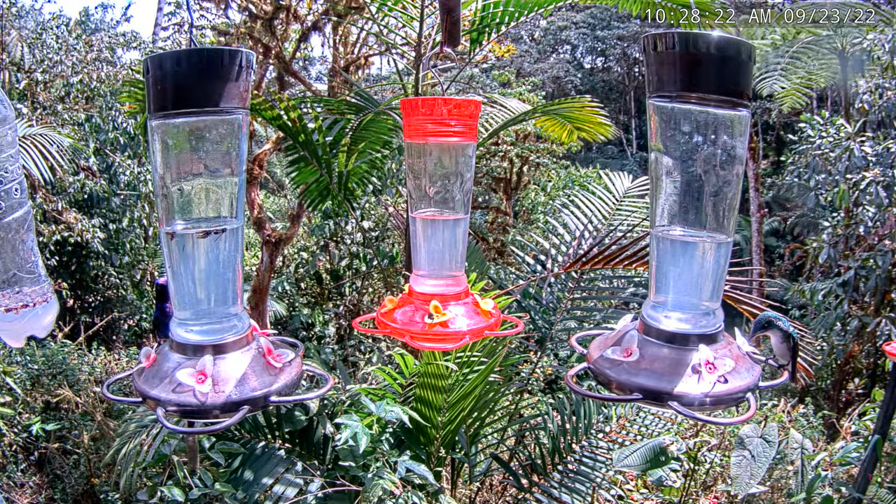 Ecuador Live Webcams