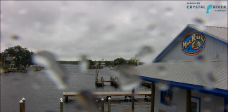 Homosassa Springs Webcam, Fl | Live Hd Video