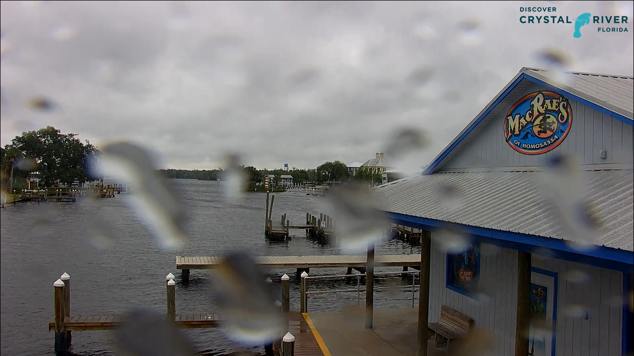 Homosassa Springs Webcam, FL | Live HD Video