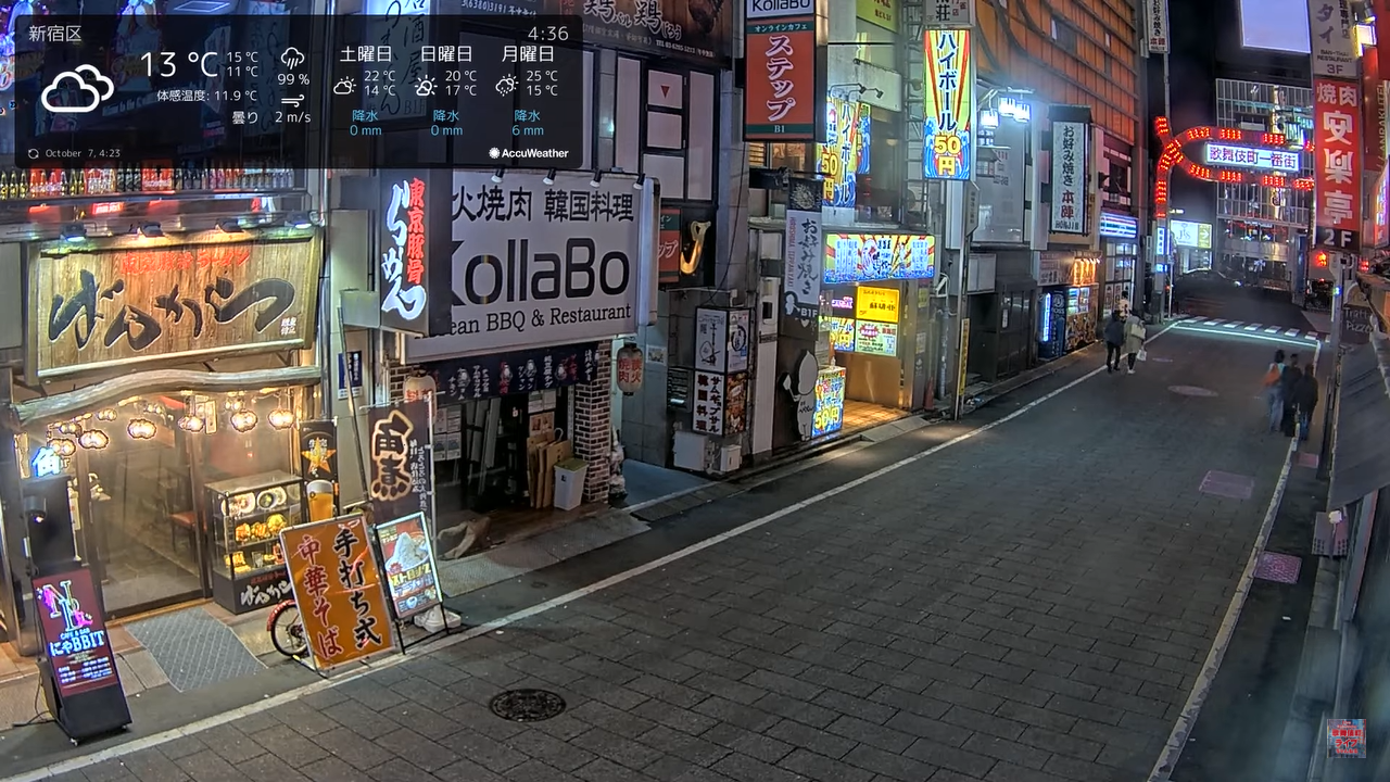 Resorts & Hotels Webcams