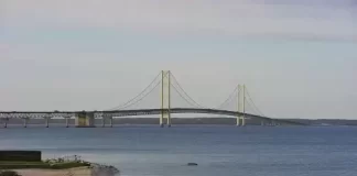 Live Cameras On Bridges Streaming Worldwide