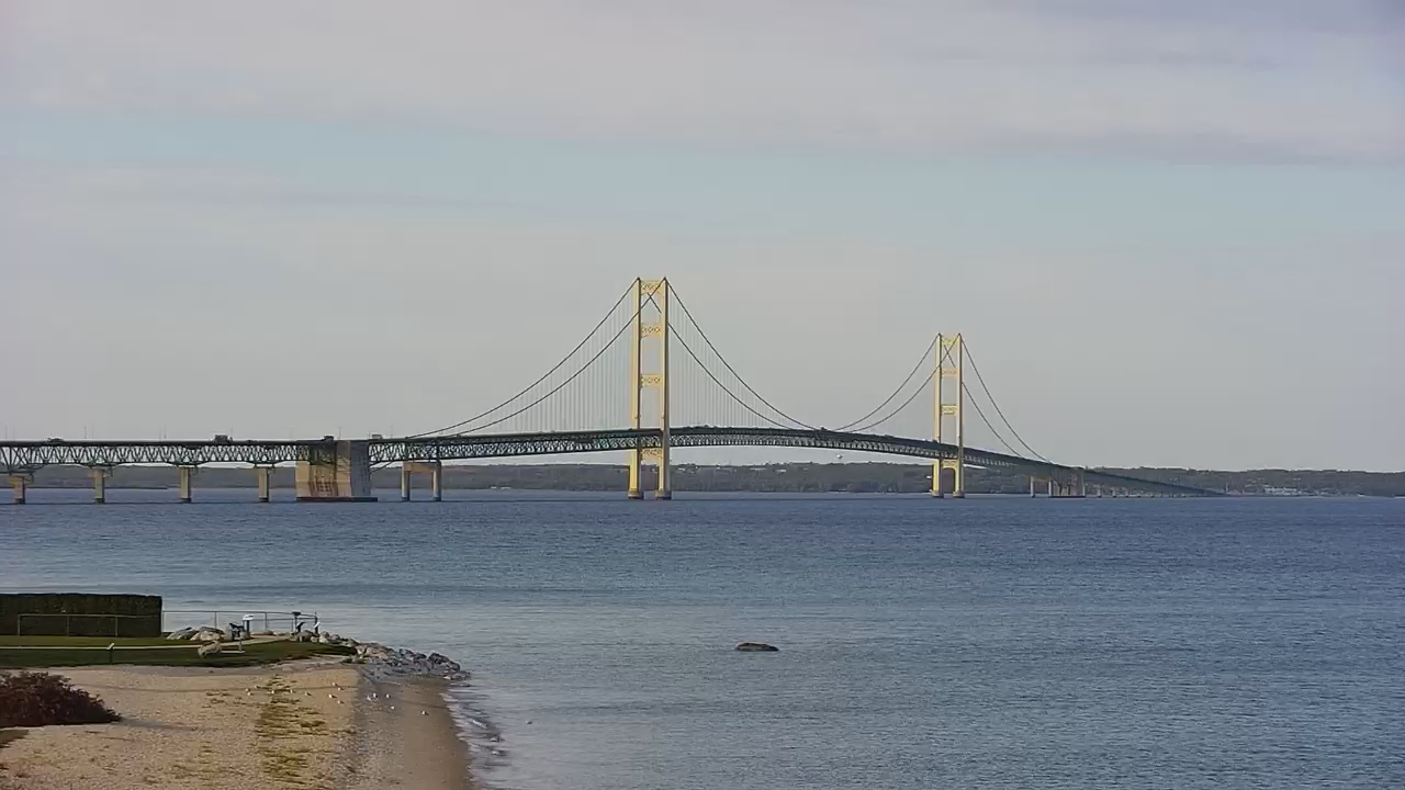 Live Cameras on Bridges streaming worldwide