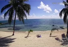 Belize Live Webcams