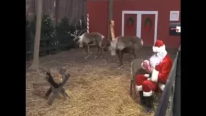 Reindeer Cam With Santa Claus In North Pole