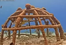 Harbour Village | Bonaire Island