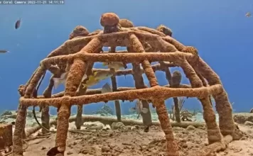 Harbour Village | Bonaire Island