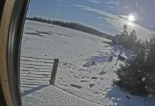 Crane Lake Webcam