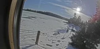 Crane Lake Webcam