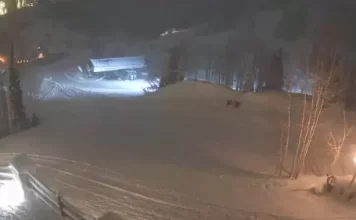 Deer Valley Webcam | Stein Eriksen Lodge | Park City, Utah