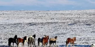 Baggs, Wyoming Weather