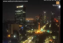 Paseo De La Reforma | Ángel De La Independencia